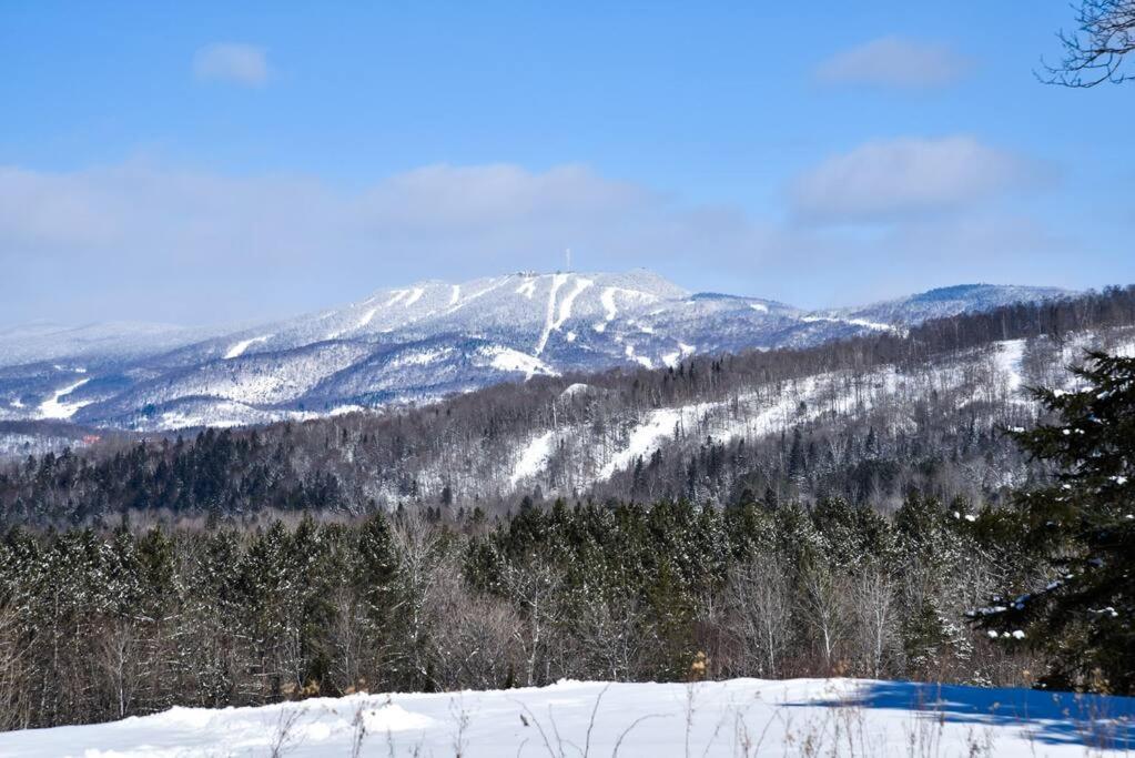 2-Level Home - Tremblant Mountain View - Fireplace Mont-Tremblant Exterior foto